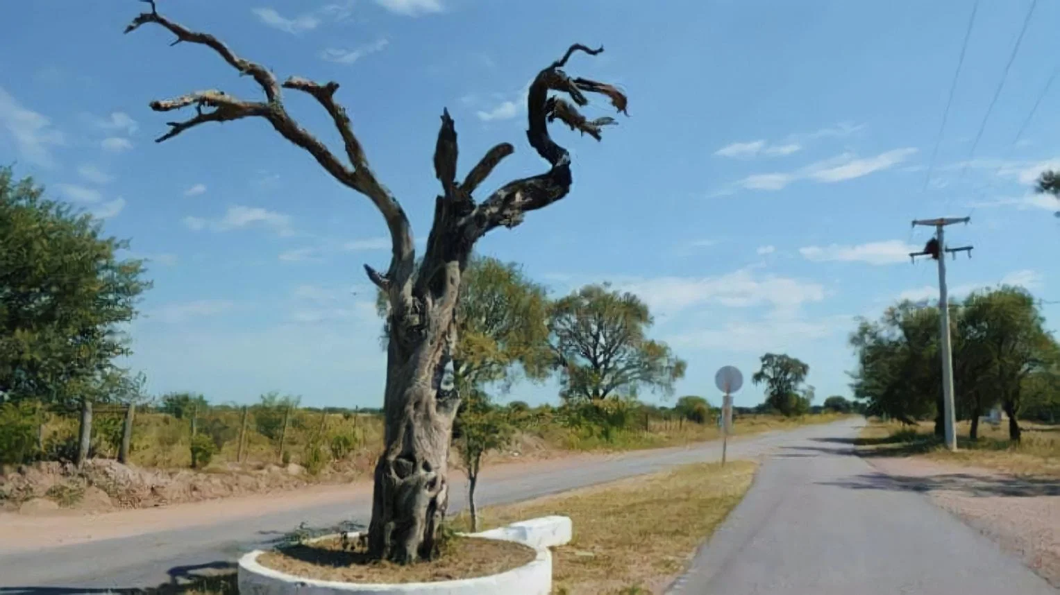 Árbol Histórico de Manogasta